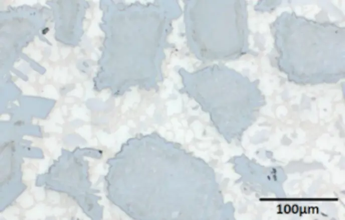 Microstructure of the tungsten carbide systems: Hard-facing bimetallic